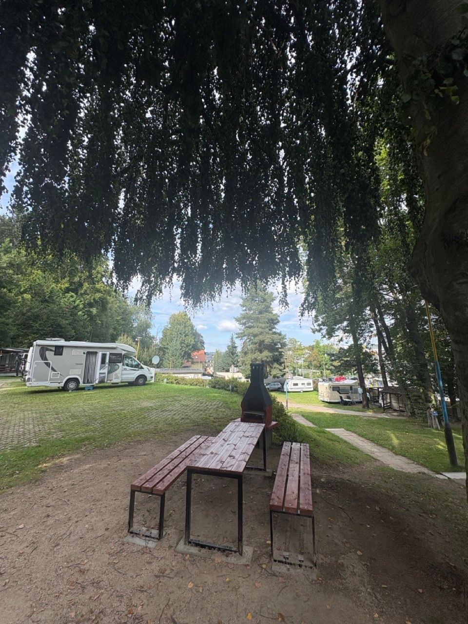 Stół piknikowy w cieniu drzew