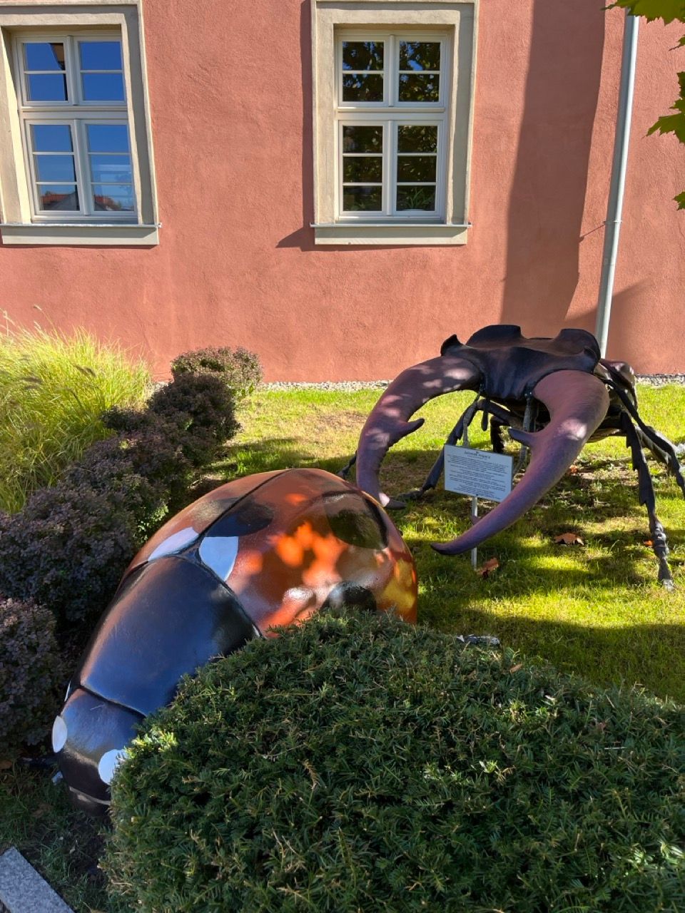 Muzeum Przyrodnicze